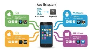 Entendiendo el ecosistema de aplicaciones